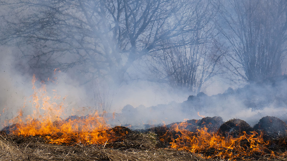 Multiple Brush And Wild Land Fires In Nova Scotia There Is A Province