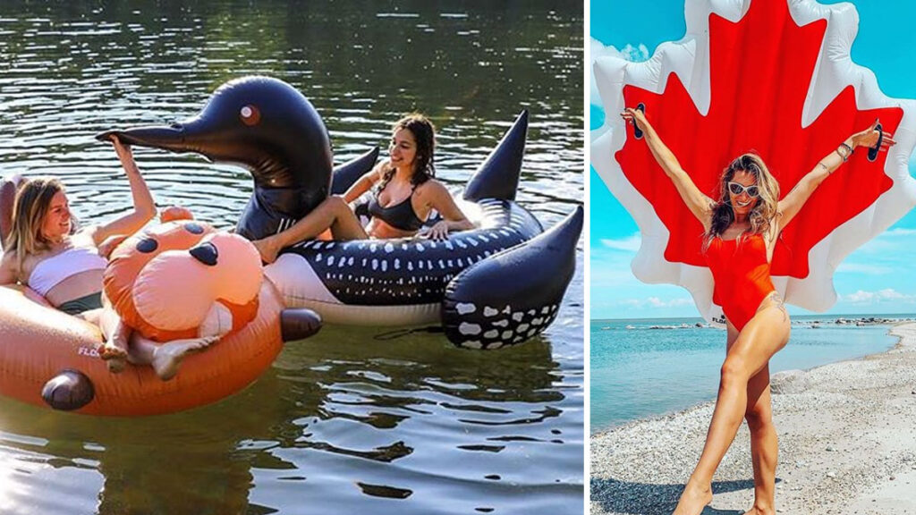 Top 7 Festivals To Attend This Summer In Nova Scotia Nova Scotia Buzz