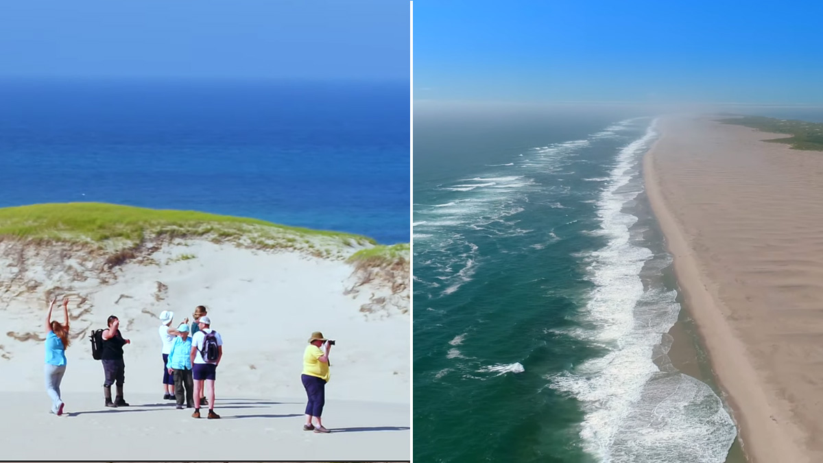 Sable island tourism 60 photos - Guidebookbali.com