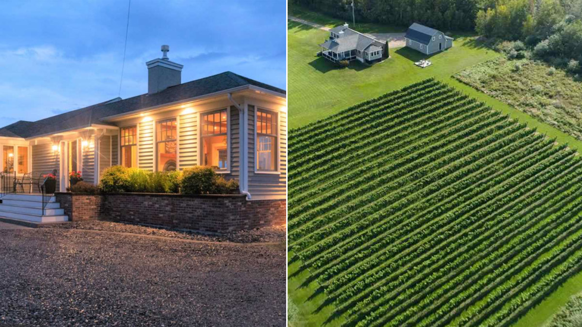 This Annapolis Valley House For Sale Comes With Its Very Own Vineyard Nova Scotia Buzz