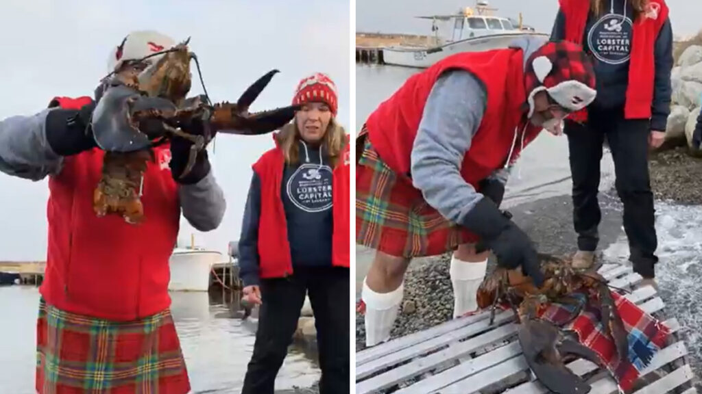 Lucy The Lobster Saw Her Shadow This Morning In Nova Scotia Six More Weeks Of Winter Nova